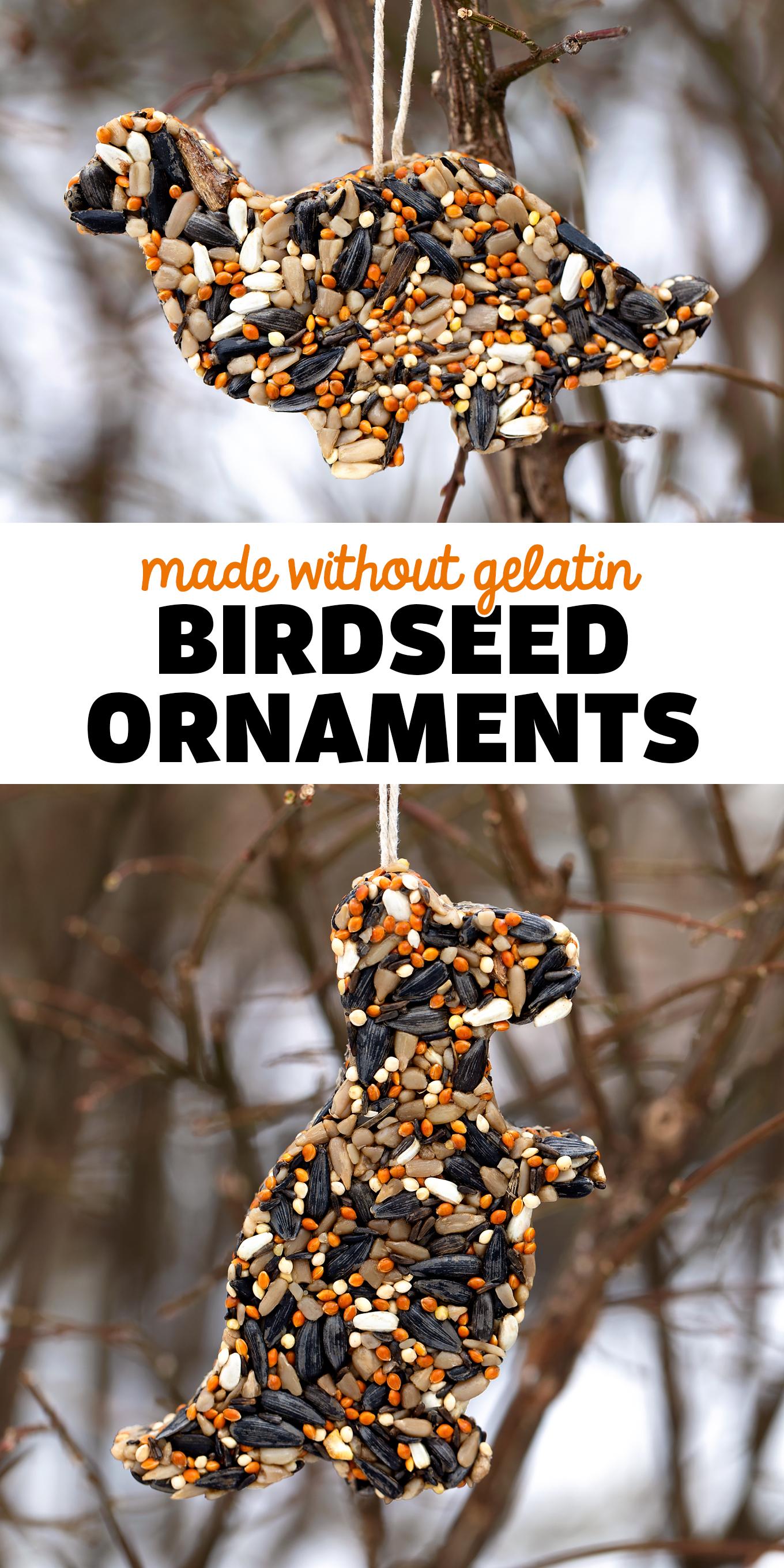 Birdseed Ornaments Made Without Gelatin - An easy and fun vegan recipe for birdseed ornaments! Follow along with Fireflies and Mud Pies for more great ideas! via @firefliesandmudpies