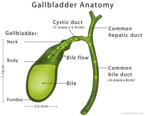 Gallbladder Flush - 4 Quick Home Remedies - Garden