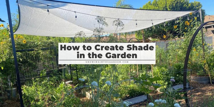 how-to-create-shade-in-the-garden-garden